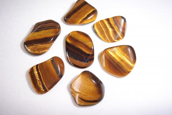 Oeil de tigre Afrique du Sud