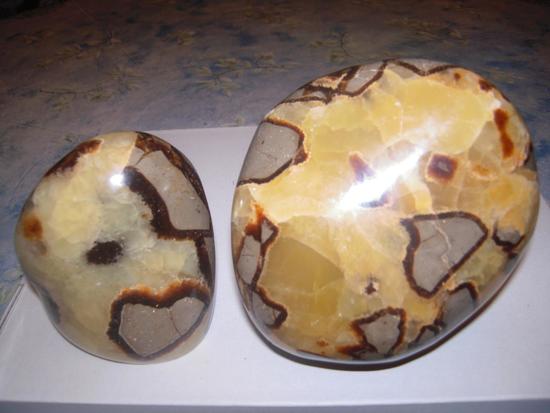 septaria polie Madagascar